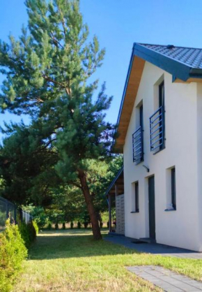 Leśne Domki na Pomorzu in Ostrowo